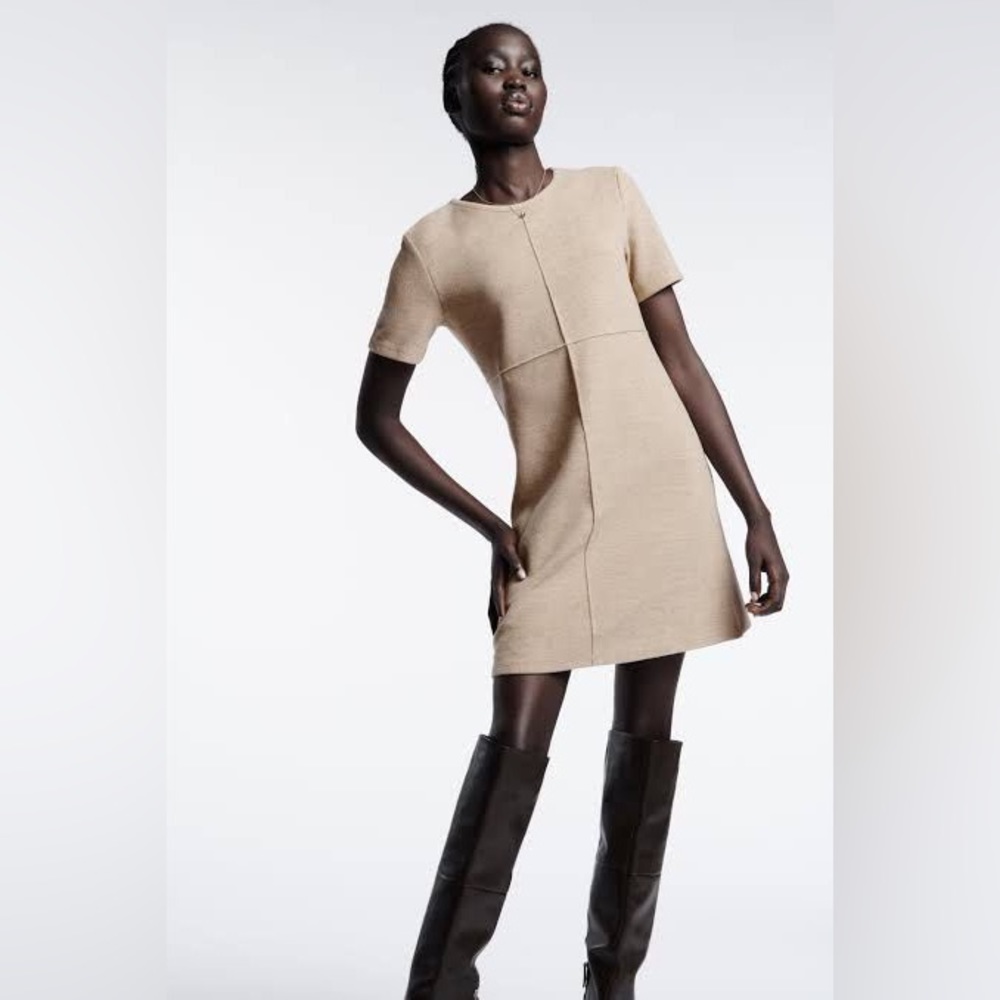 Zara sweater dress